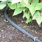 Soaker Hose Kits
