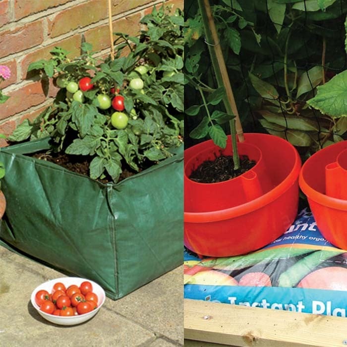 Special Growbag Growing Offer - Harrod Horticultural