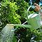 Haws 5ltr Watering Can (Pea Green) Haws 5ltr Watering Can (Pea Green)