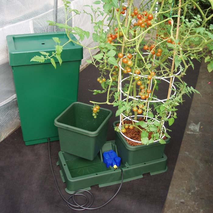 Easy to Grow Kit Harrod Horticultural (UK)