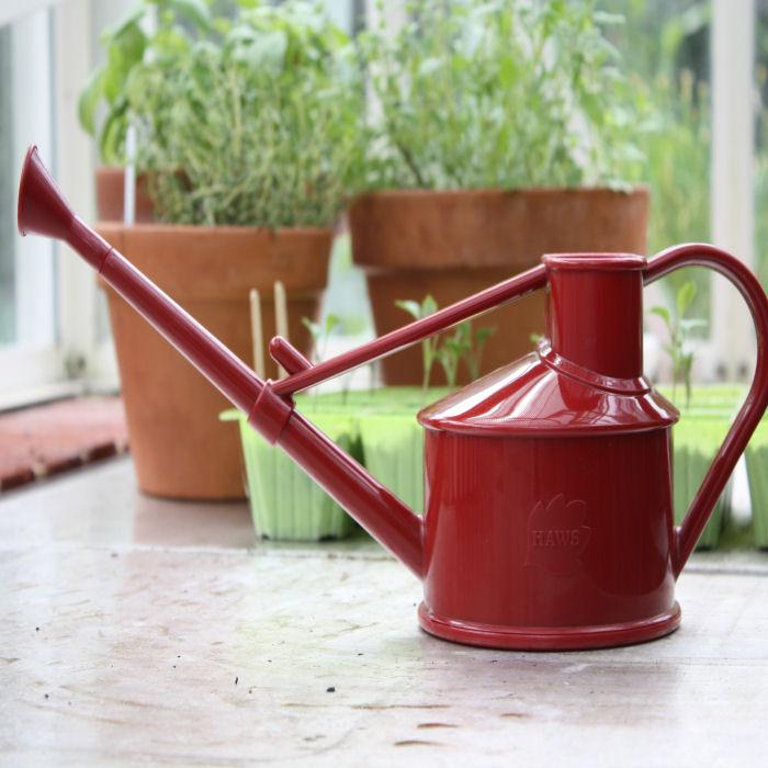 Haws Handy Indoor Watering Can Harrod Horticultural (UK)