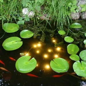 Underwater Pond Light