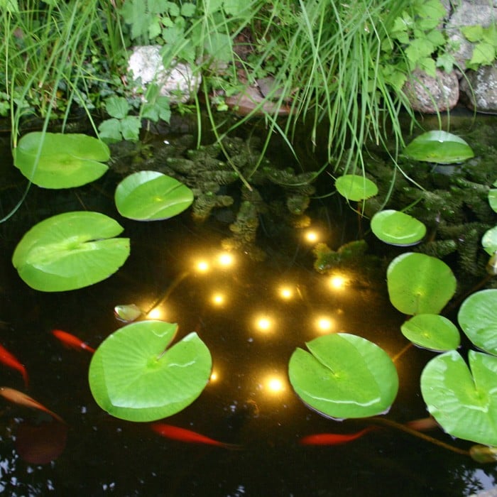 Underwater Pond Light Stylish Pond Features at Harrod Horticultural
