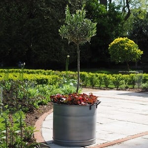 Set Of 2 Round Steel Planters