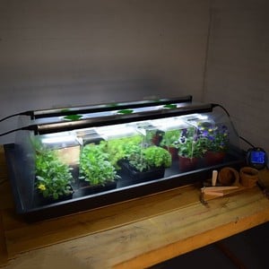 Geopod Heated Propagator With Lights