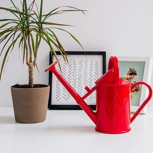 Haws 1 Litre Plastic Indoor Watering Can Red