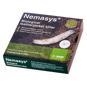 Nemasys Leatherjacket Killer