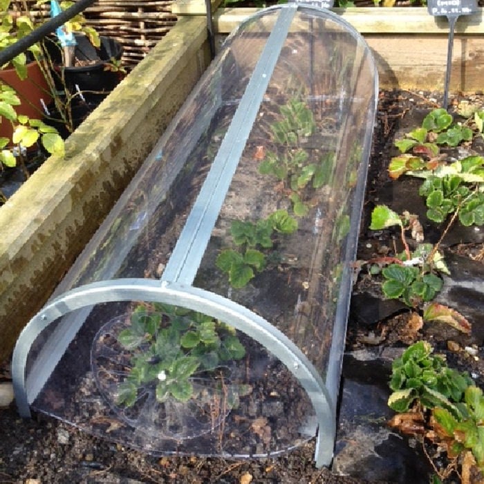 Longrow Super Cloche Harrod Horticultural (UK)