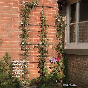 Harrod Trellis System Kits