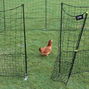 Flexible Chicken Fencing With Gate