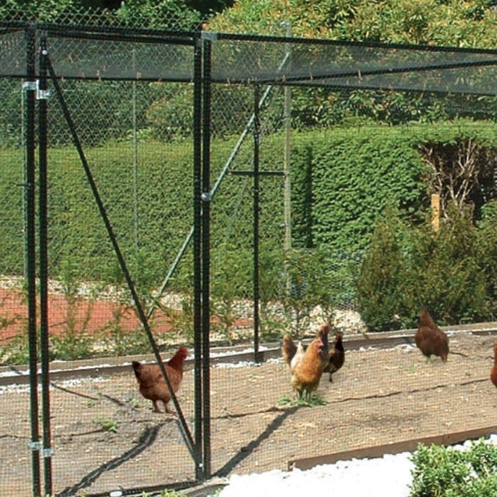 Steel Chicken Cages & Poultry Cages Harrod Horticultural