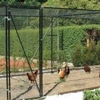 Chicken & Poultry Cage - Heavy Duty Steel
