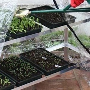 Plastic Seed Trays 10 Pack