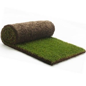 Rolawn Turf