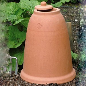 Terracotta Rhubarb Forcer