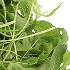 Organic Wild Rocket Seeds