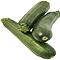 Organic Dundoo Courgette Seeds