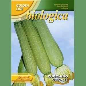 Organic Courgette Genovese