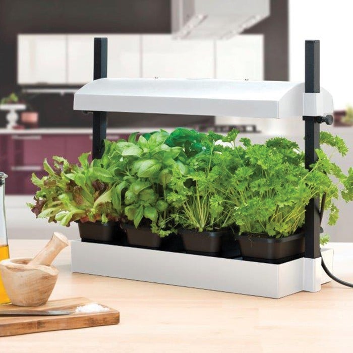 Herb and Salad Growing Kit Harrod Horticultural