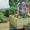 Standard Wooden Raised Beds