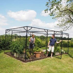 Steel Fruit Cages