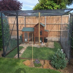 Steel Chicken Cages & Poultry Cages