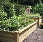 Superior Wooden Raised Bed Kits