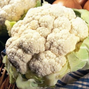 Cauliflower 10 Plants Organic
