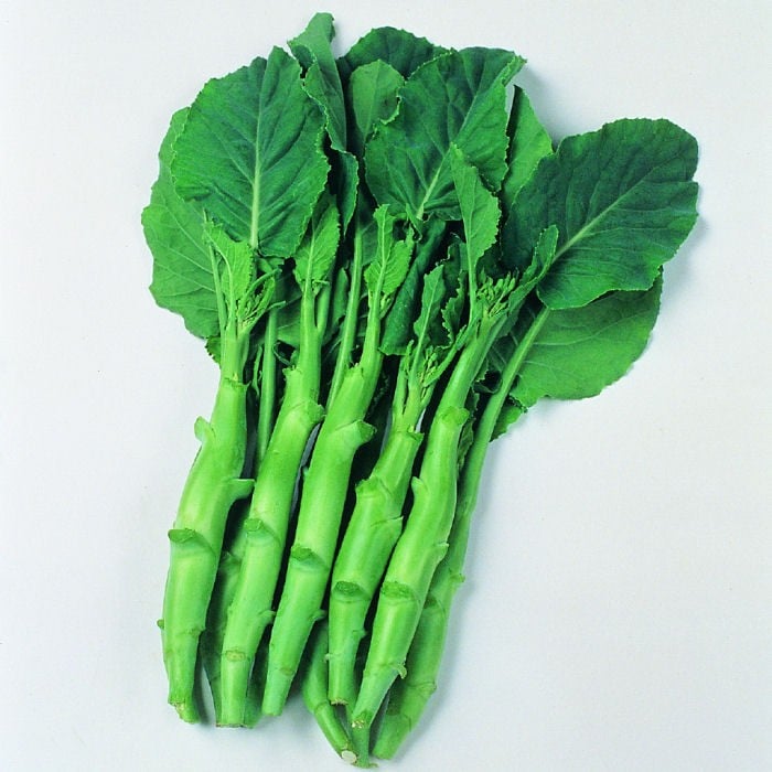 Chinese Kale Kailaan (10 plants) Organic Harrod Horticultural
