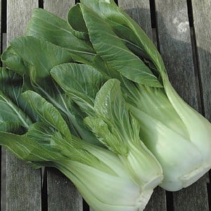 Pak Choi Hanakan 10 Plants