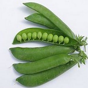 Peas Kelvedon Wonder (10 Plants) Organic