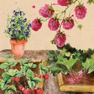 Compact Fruit Garden