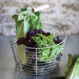 Wirework Salad Basket In Gooseberry