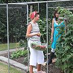 Additional Aluminium Fruit Cage Door Kit
