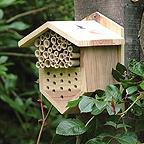 Bee and Ladybird Box Bee and Ladybird Box