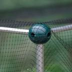 Build-a-balls (pack of 12)