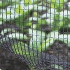 Butterfly Netting Soft Mesh Butterfly Netting Soft Mesh