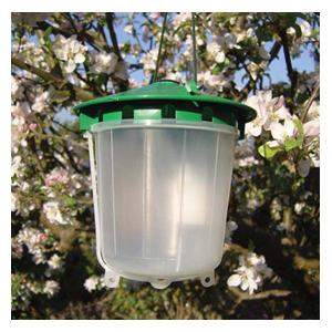 Codling Moth Trap