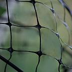 Deer Protection Netting Deer Protection Netting