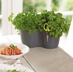 Duo Herb Planter Duo Herb Planter