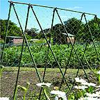 Easy Bean System
