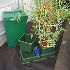 Easy to Grow Kit