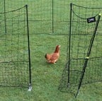 Flexible Chicken Fencing with Gate
