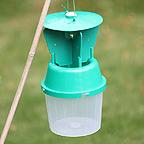 Garden Chafer Trap