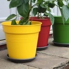 Giant Tomato Planter Pots