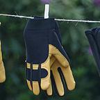 Gold Leaf Soft Touch Gloves Gold Leaf Soft Touch Gloves