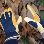 Gold Leaf Winter Touch Gloves
