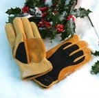 Gold Leaf Winter Touch Gloves Gold Leaf Winter Touch Gloves