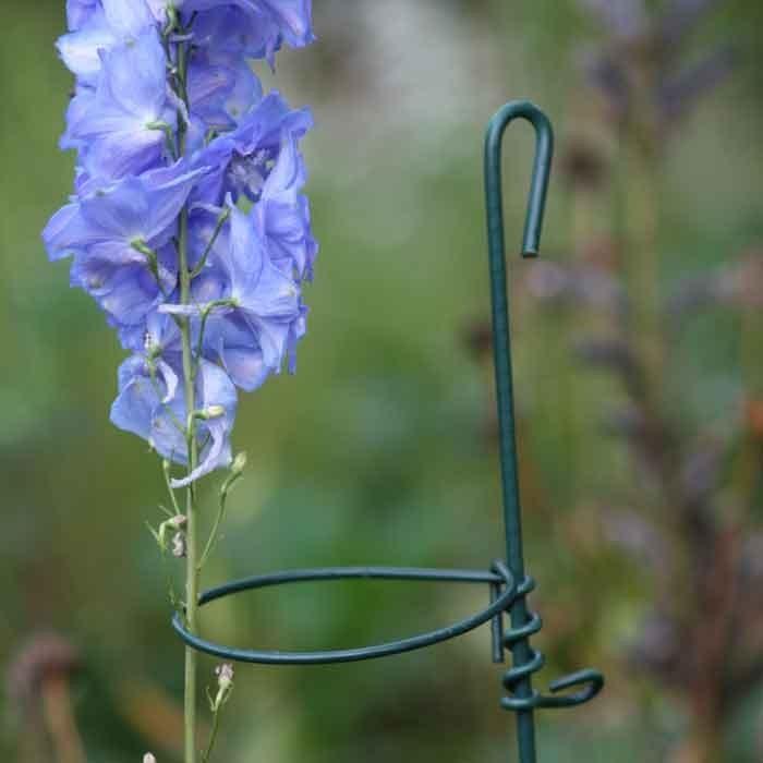 Loop Stakes Plant Supports Harrod Horticultural (UK)