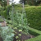 Harrod Slot & Lock® Bean & Pea Frames Harrod Slot & Lock® Bean & Pea Frames